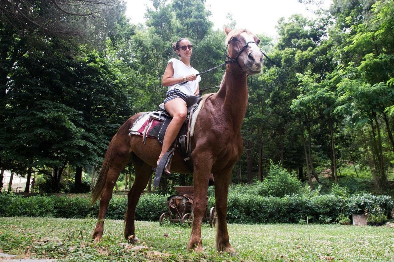 วิลลา มูโซลิโน Villa เมสซีนา ภายนอก รูปภาพ